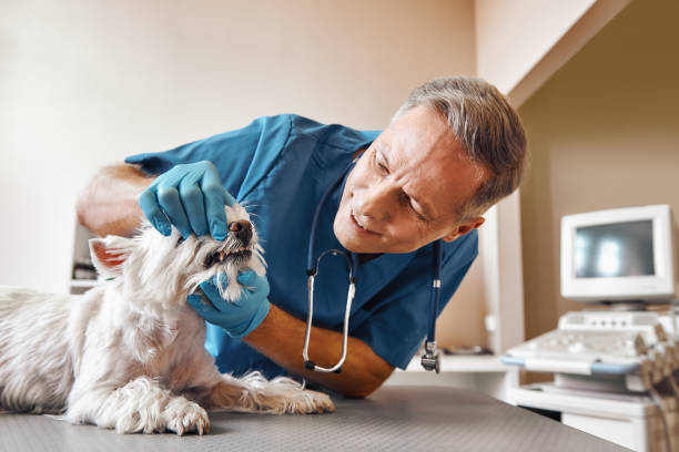 Best Emergency Dental Care for Sports Injuries in Richnd Heights, MO