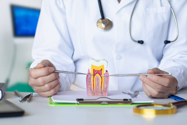 Best Knocked-Out Tooth (Avulsed Tooth) Treatment in Richnd Heights, MO